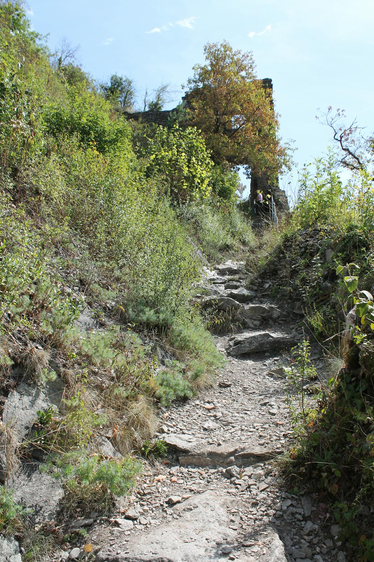 Infographic-style image showing progressive walking goals