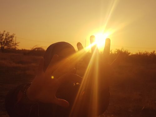 Free the evening sun Stock Photo