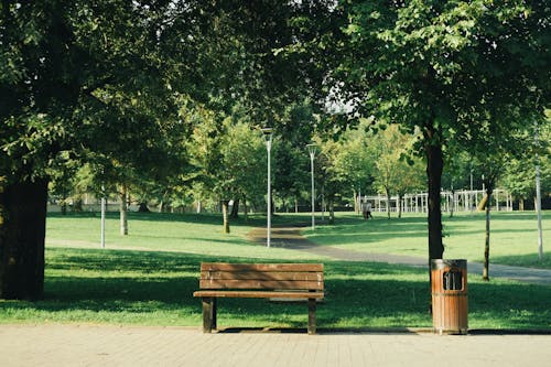 Free Bench in the Park Stock Photo