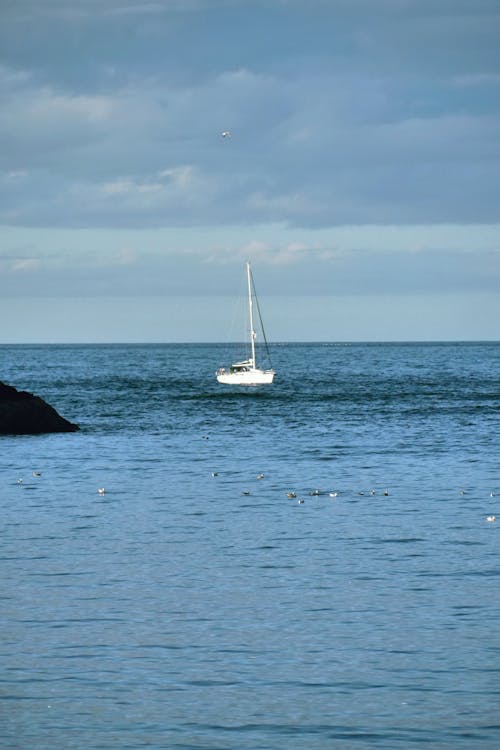 경치, 돛단배, 바다의 무료 스톡 사진