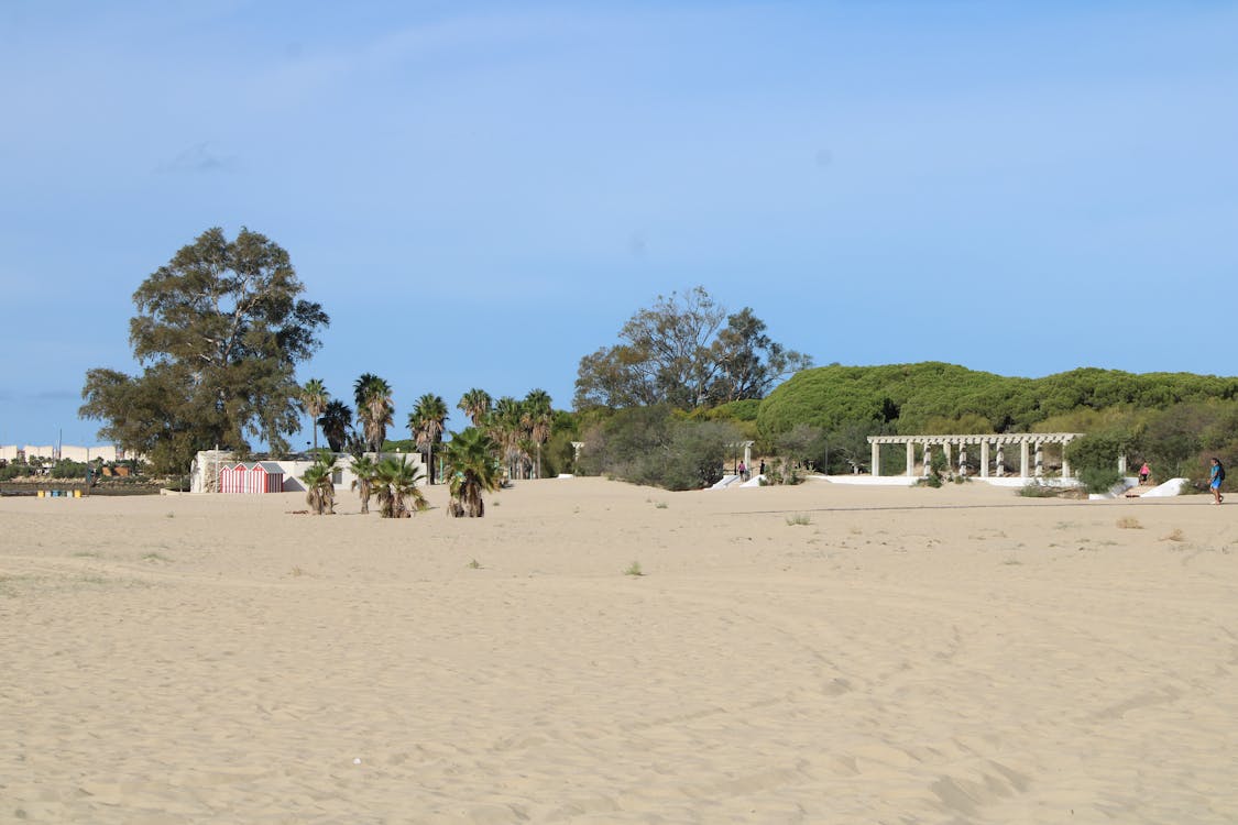 playa y paseo marítimo de la Puntilla