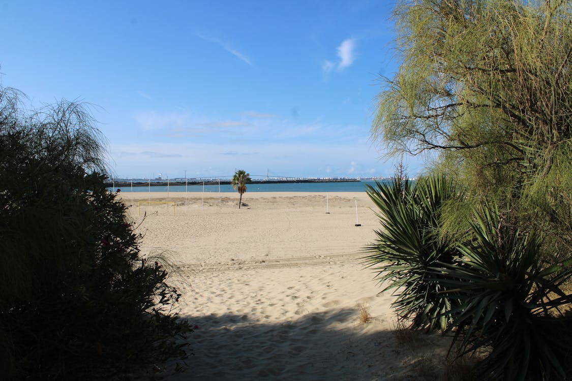 playa y paseo marítimo de la Puntilla