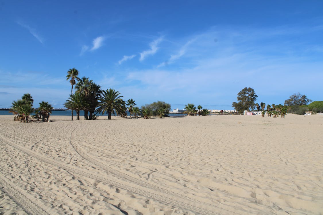 playa y paseo marítimo de la Puntilla