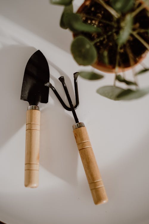 Gardening Tools by a Plant