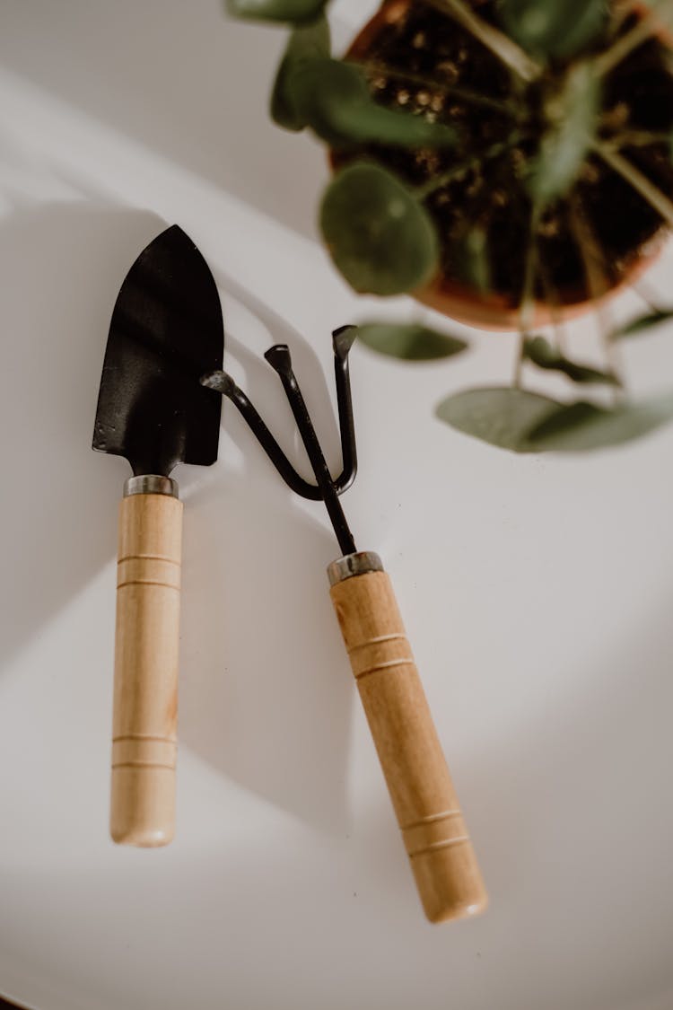 Gardening Tools By A Plant