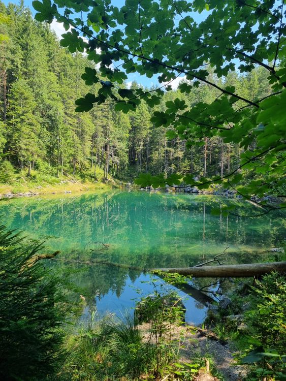 Scenic Landscape of a Lake with Trees Around · Free Stock Photo