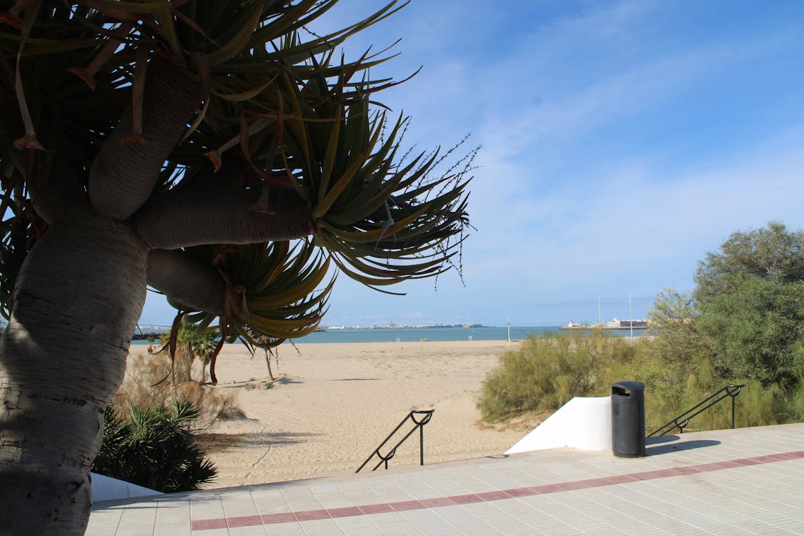 playa y paseo marítimo de la Puntilla