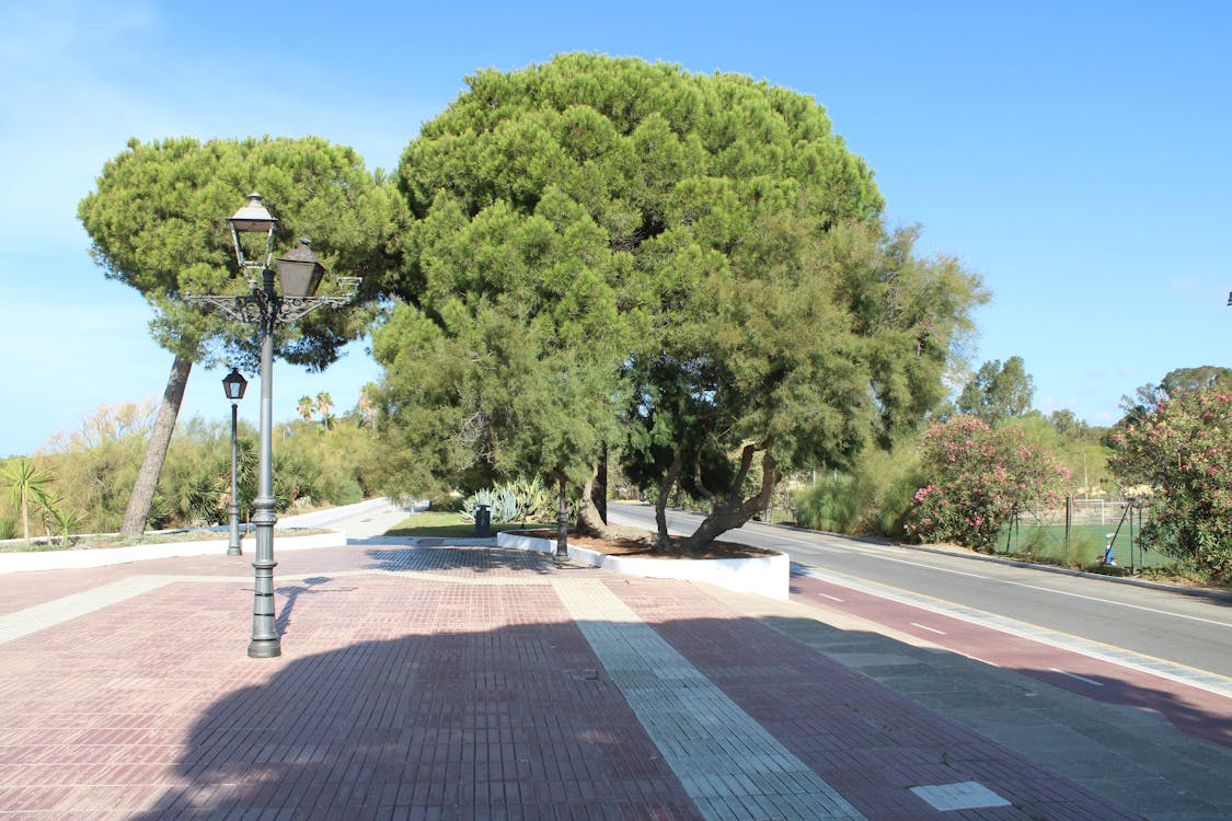 playa y paseo marítimo de la Puntilla