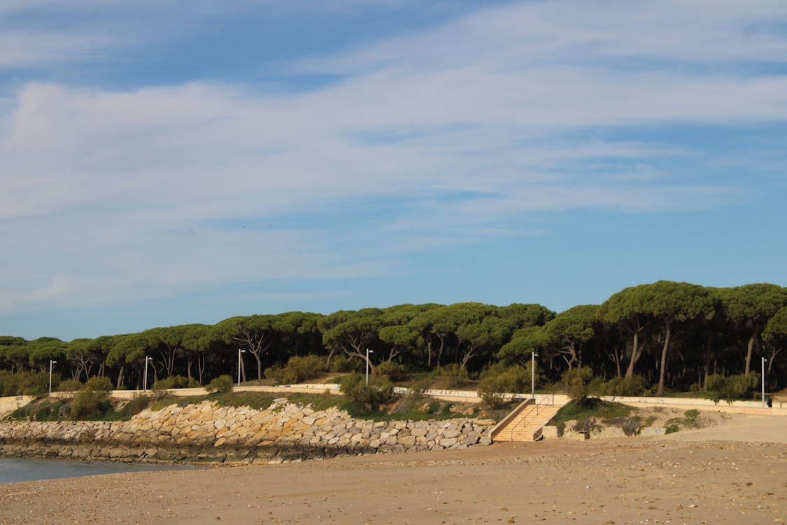 playa y paseo marítimo de la Puntilla