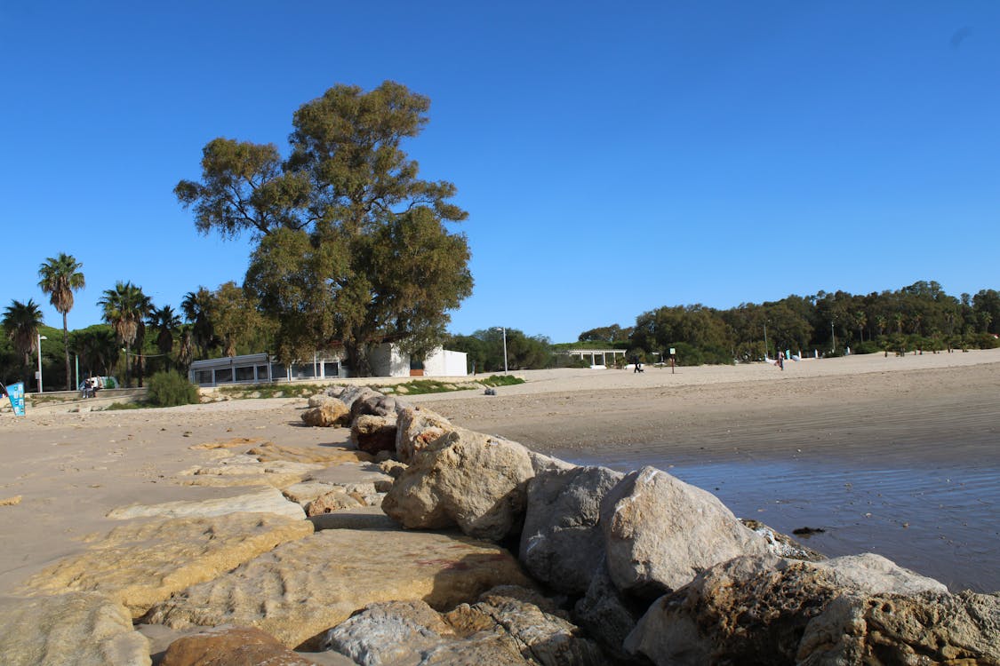 playa y paseo marítimo de la Puntilla