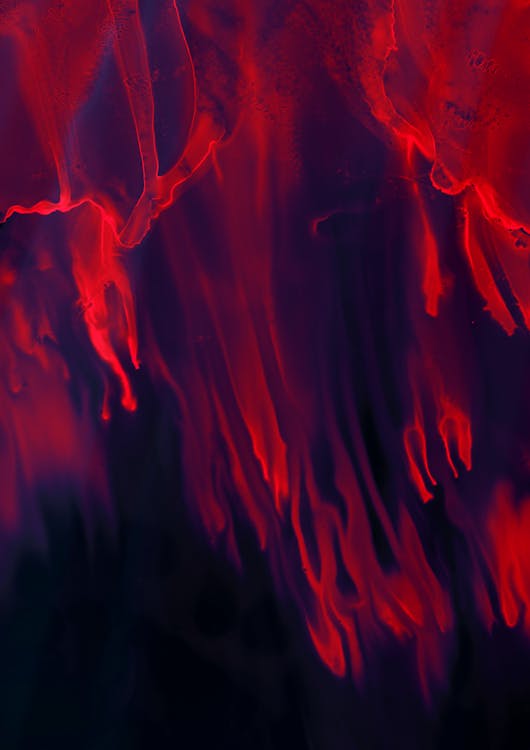 Dark Red Abstract Artwork