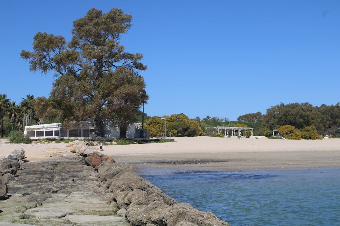 playa y paseo marítimo de la Puntilla