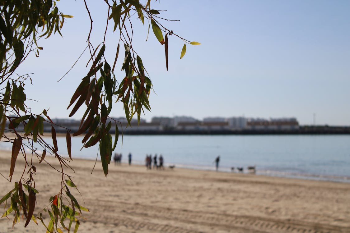 playa y paseo marítimo de la Puntilla