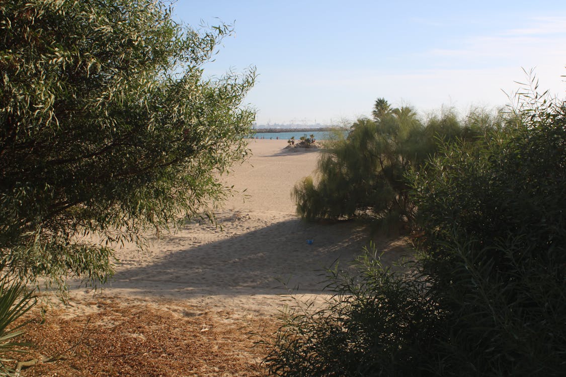 playa y paseo marítimo de la Puntilla