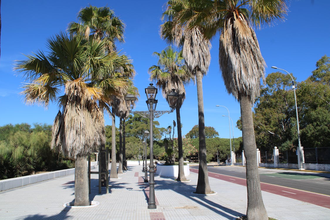 playa y paseo marítimo de la Puntilla