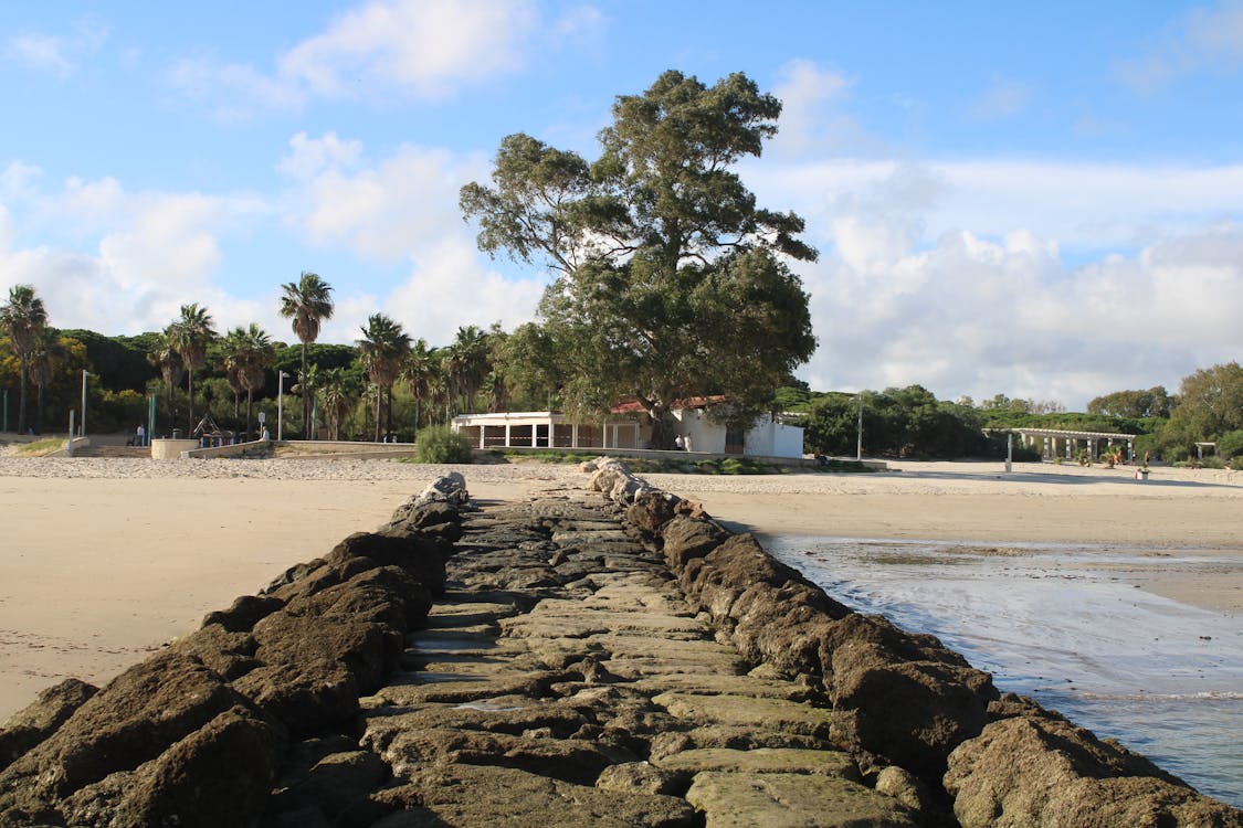 playa y paseo marítimo de la Puntilla