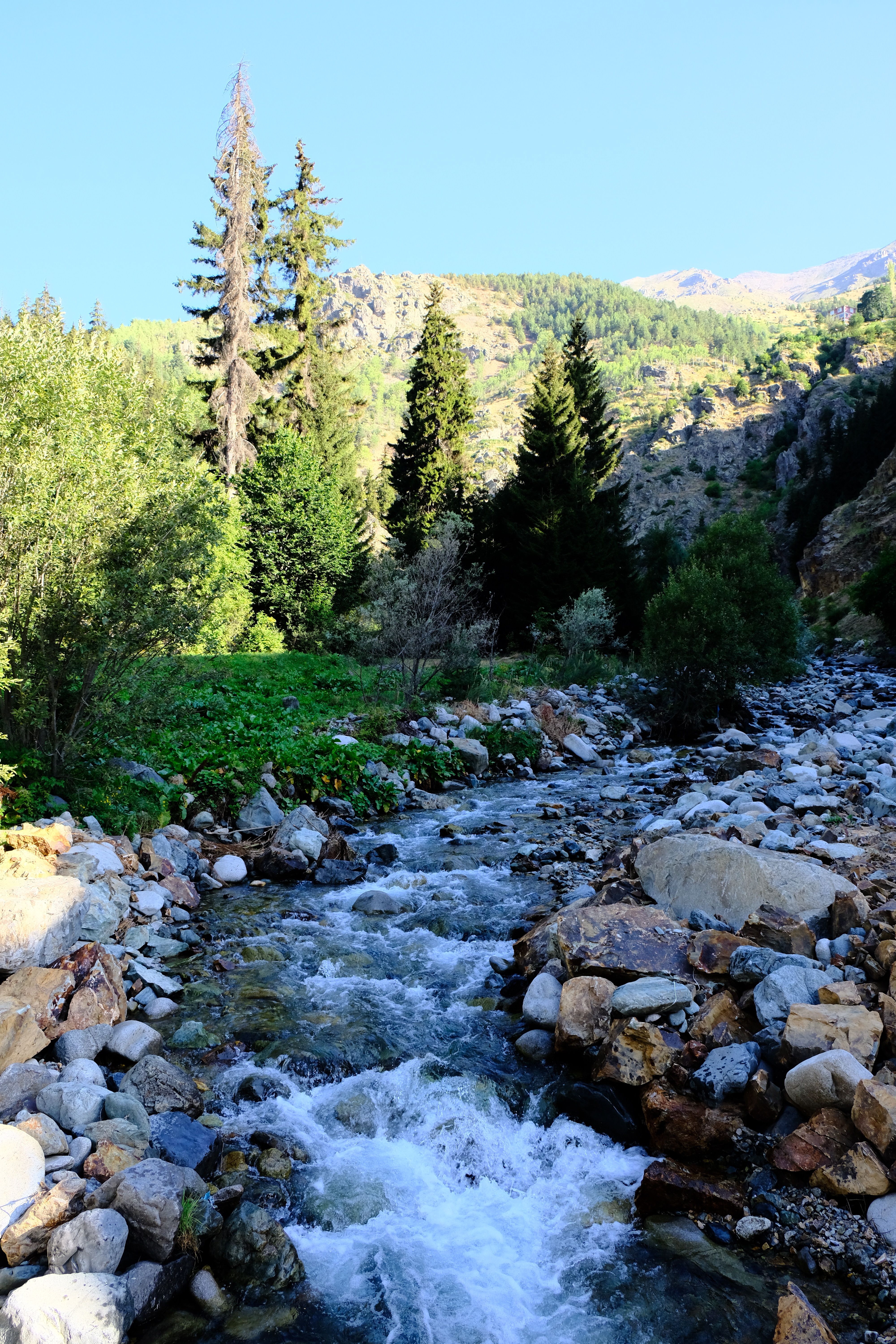 Stream of Water Between the Rocks in the Woods · Free Stock Photo