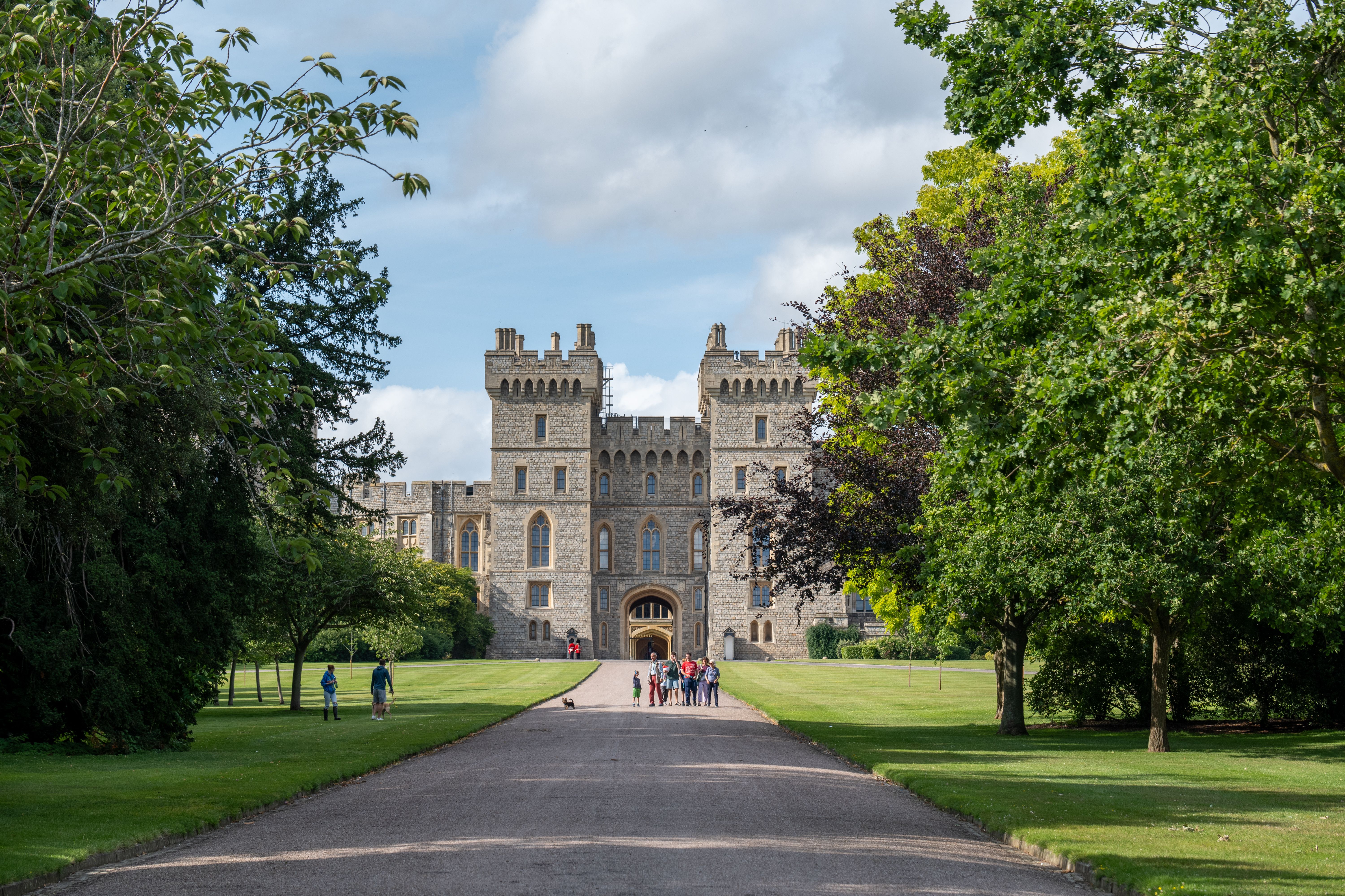 Foto de stock gratuita sobre arboles, callejón, castillo de windsor ...