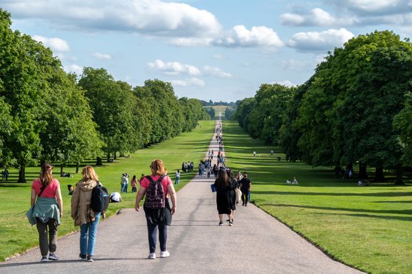 Le Long Walk et le Grand Parc de Windsor en Angleterre