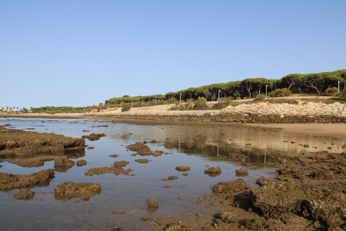 playa y paseo marítimo de la Puntilla