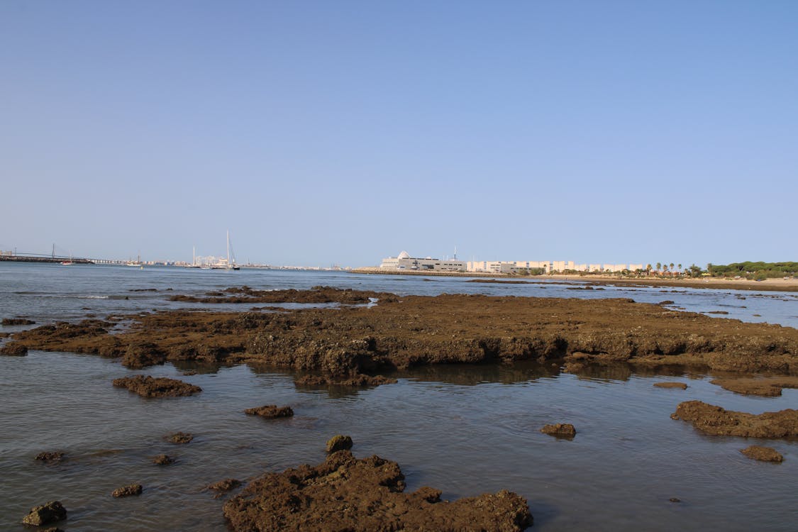 playa y paseo marítimo de la Puntilla