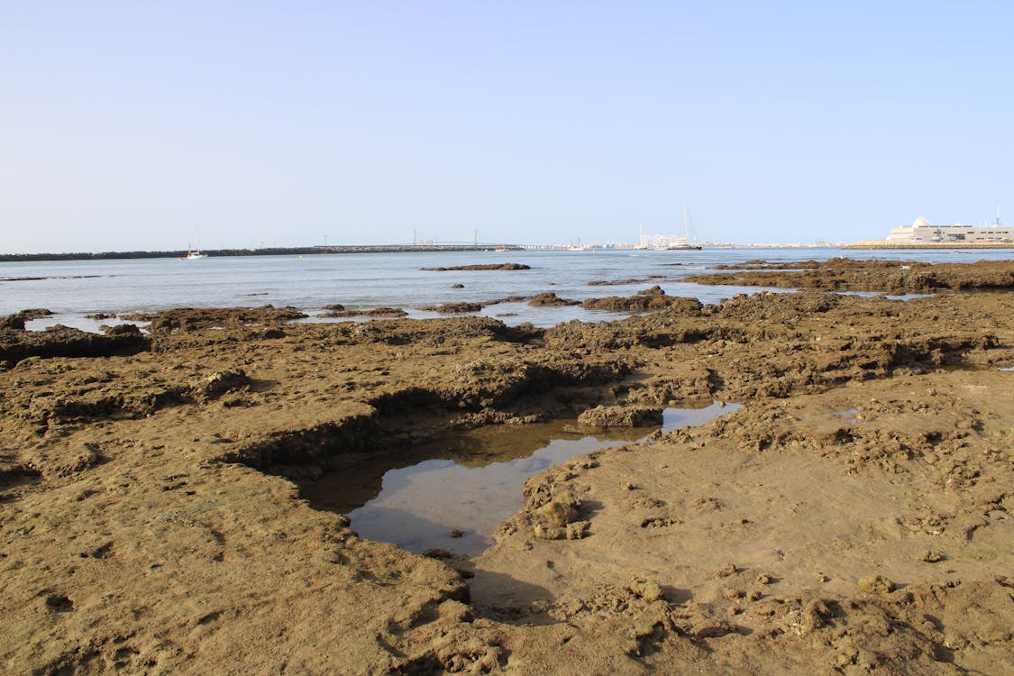 playa y paseo marítimo de la Puntilla