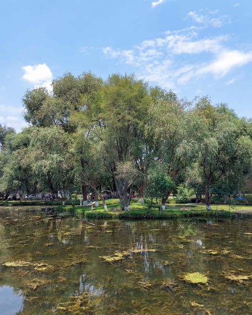 Free Tranquil lake surrounded by lush greenery in Xicohtzinco, Mexico, under a clear blue sky. Stock Photo