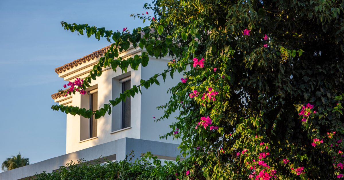 White two-storey house with terracotta roof tiles and pink bougainvillea