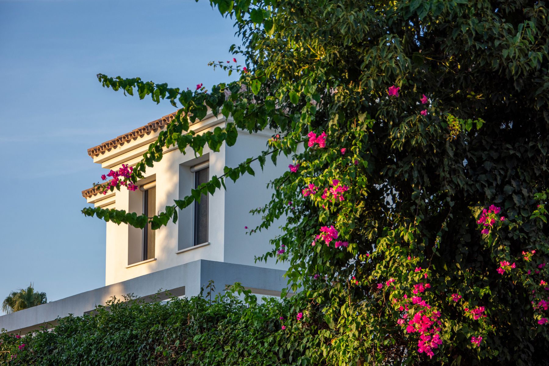 Spanish villa decorated with blooming bougainvillea in Marbella
