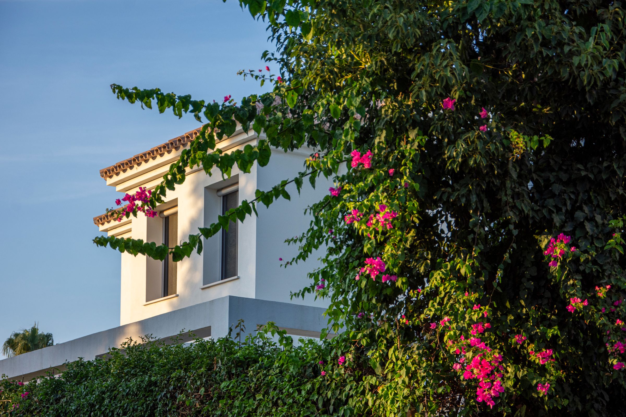 Beachfront villa near Marbella
