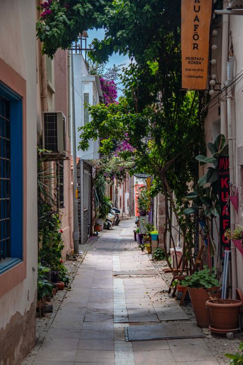 Free Explore a picturesque narrow alleyway in Ayvalık, Türkiye, adorned with lush plants and vibrant colors. Stock Photo