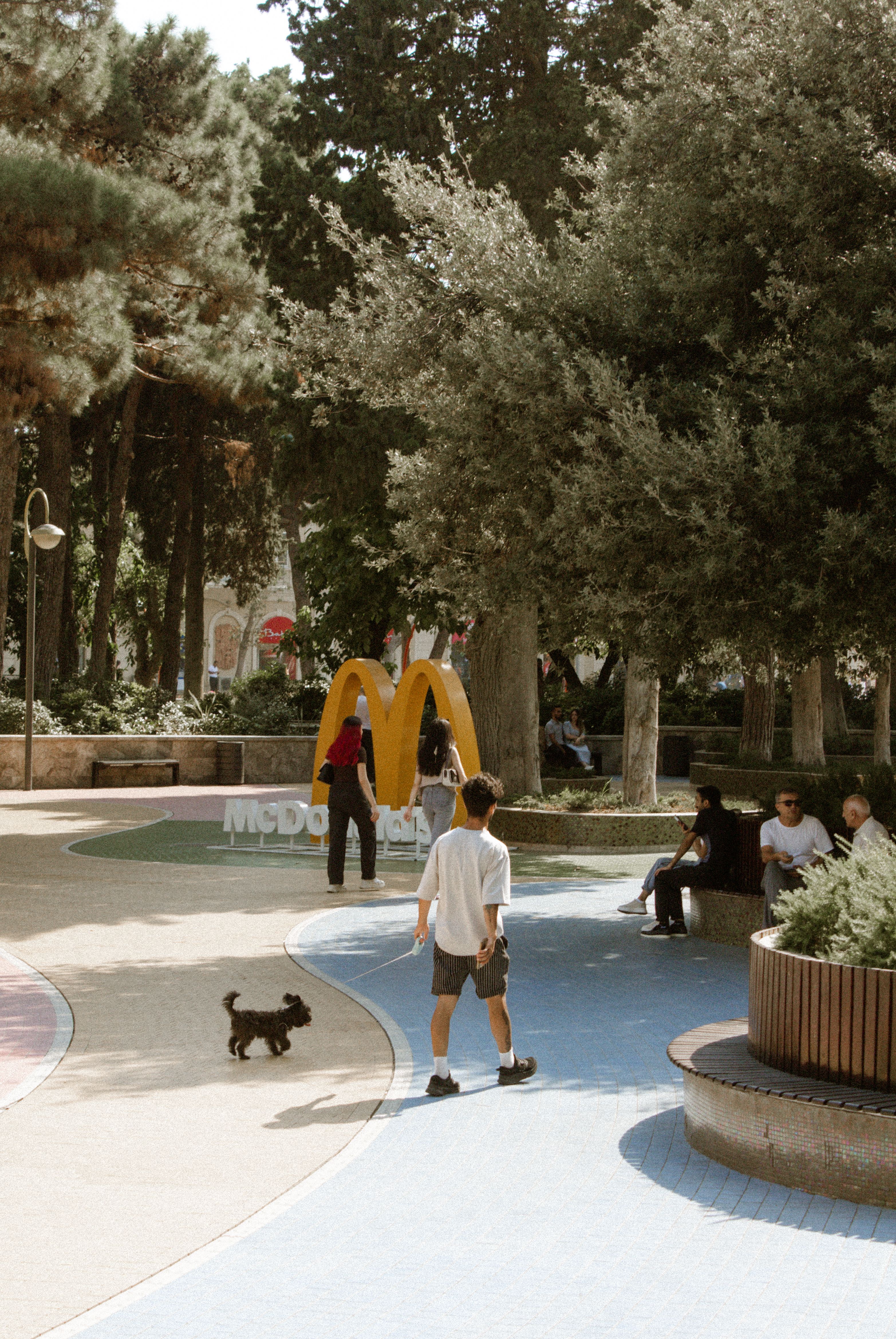 A lively urban park with walkways, featuring people relaxing and a playful dog.