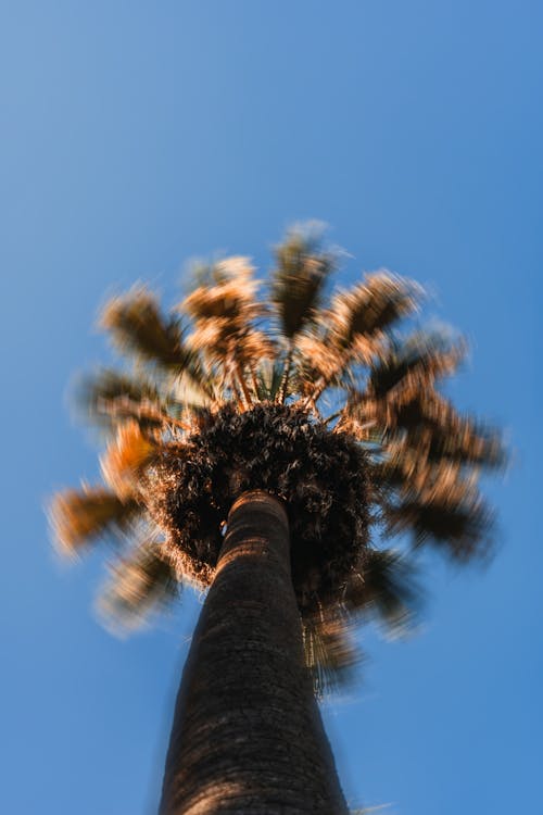 Foto d'estoc gratuïta de blau, Califòrnia, cels blaus