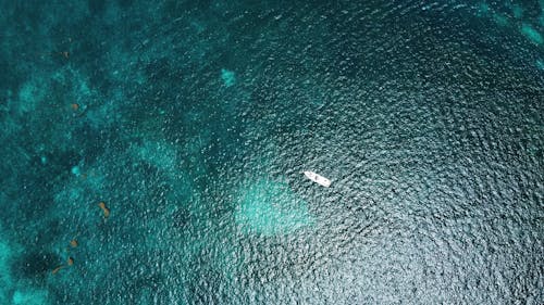 Motorboat on Open Water