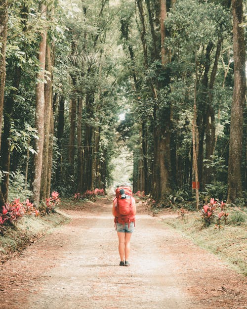 Foto stok gratis hutan, jalan tanah, kaum wanita