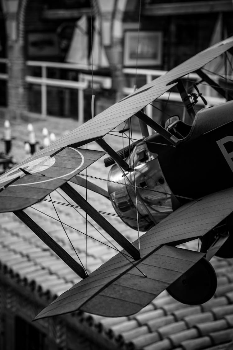 Airplane In Black And White