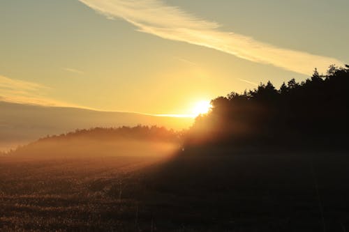 Sunset Sunlight behind Forest Trees