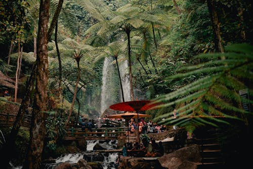 Kostenloses Stock Foto zu ferien, indonesien, karanganyar