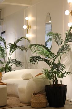 A stylish living room with a plush white sofa and lush potted plants under warm lighting.