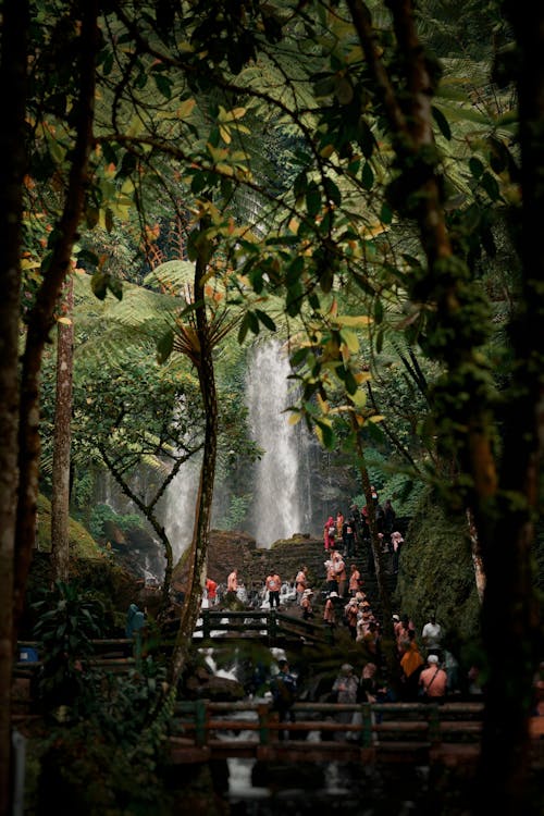 Kostenloses Stock Foto zu indonesien, java, wasserfall