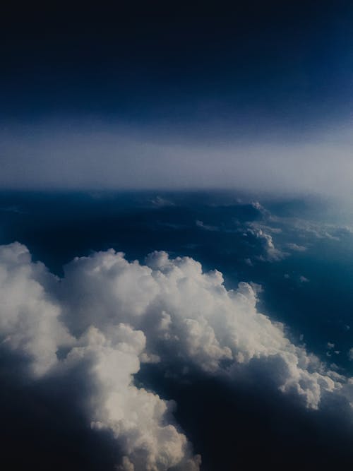 Kostenloses Stock Foto zu fliegender vogel, schöne tapete, über den wolken