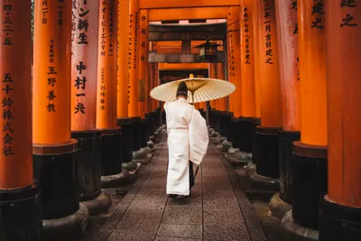 Japan street food