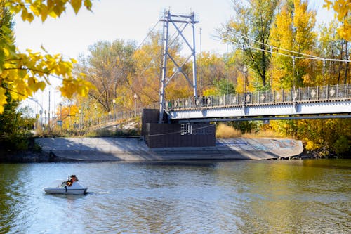 Autumn Trees around Bridge on River