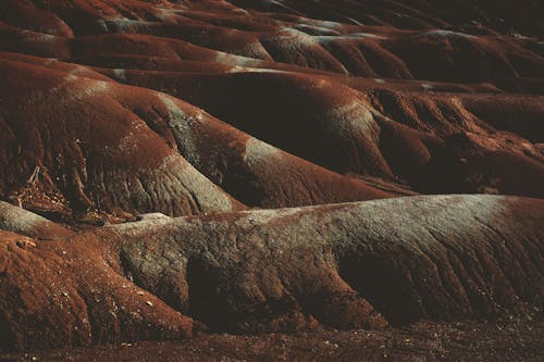 Close up of Barren Ground