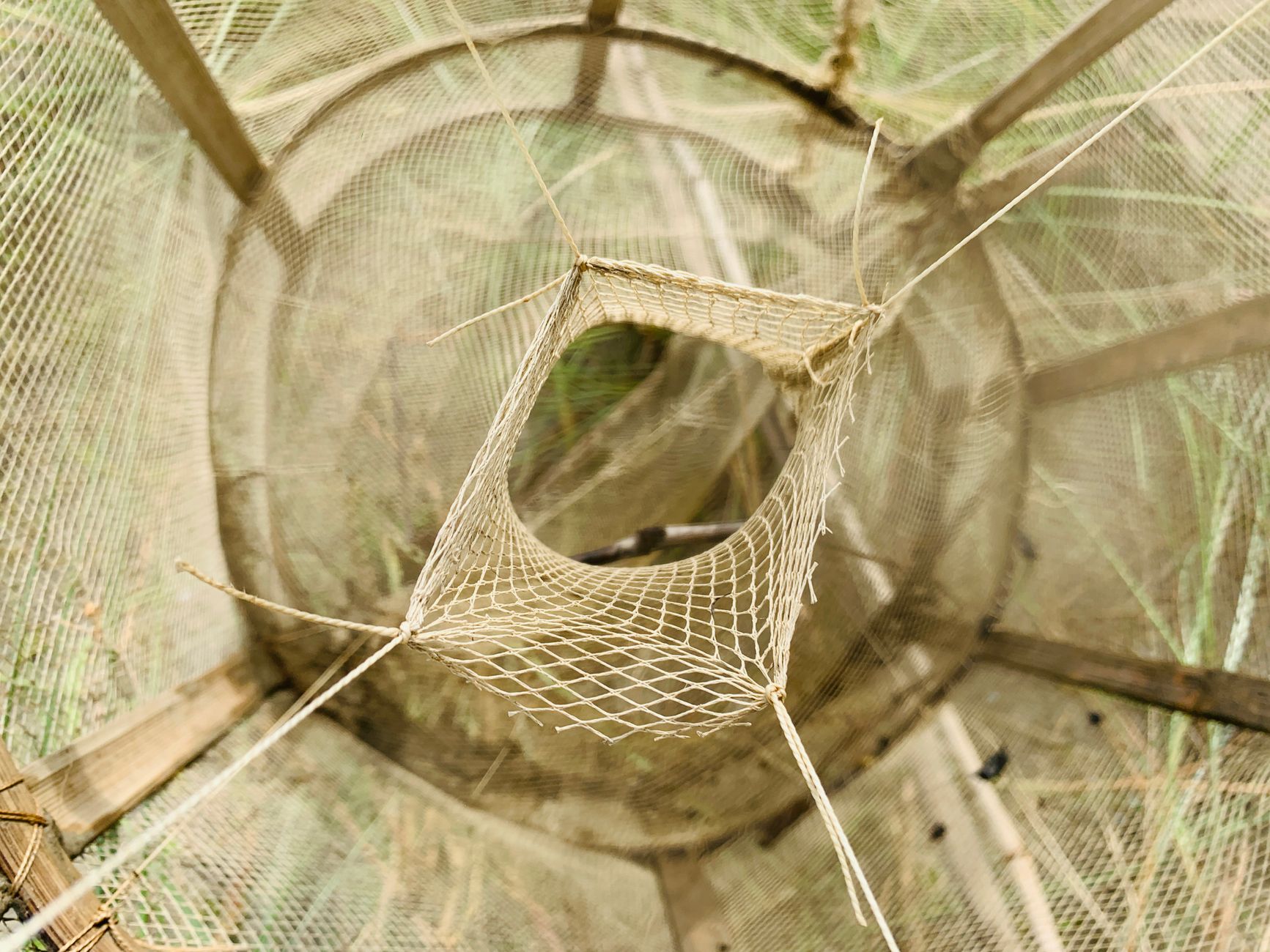 Advanced Insight 2: The Spatial Resource Guarding Trap