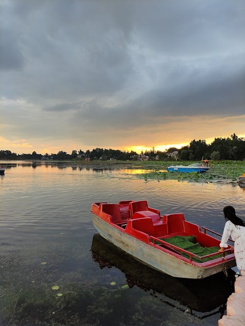 Free stock photo of jammu and kashmir, kashmir, shahid sultan