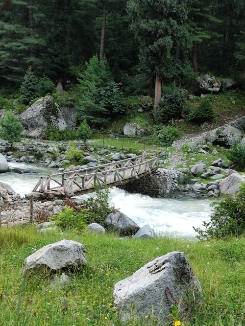 Free stock photo of jammu and kashmir, kashmir, shahid sultan