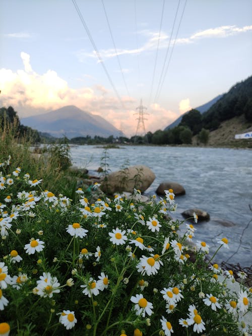 Základová fotografie zdarma na téma džammú a kašmír, kašmír, šahidský sultán