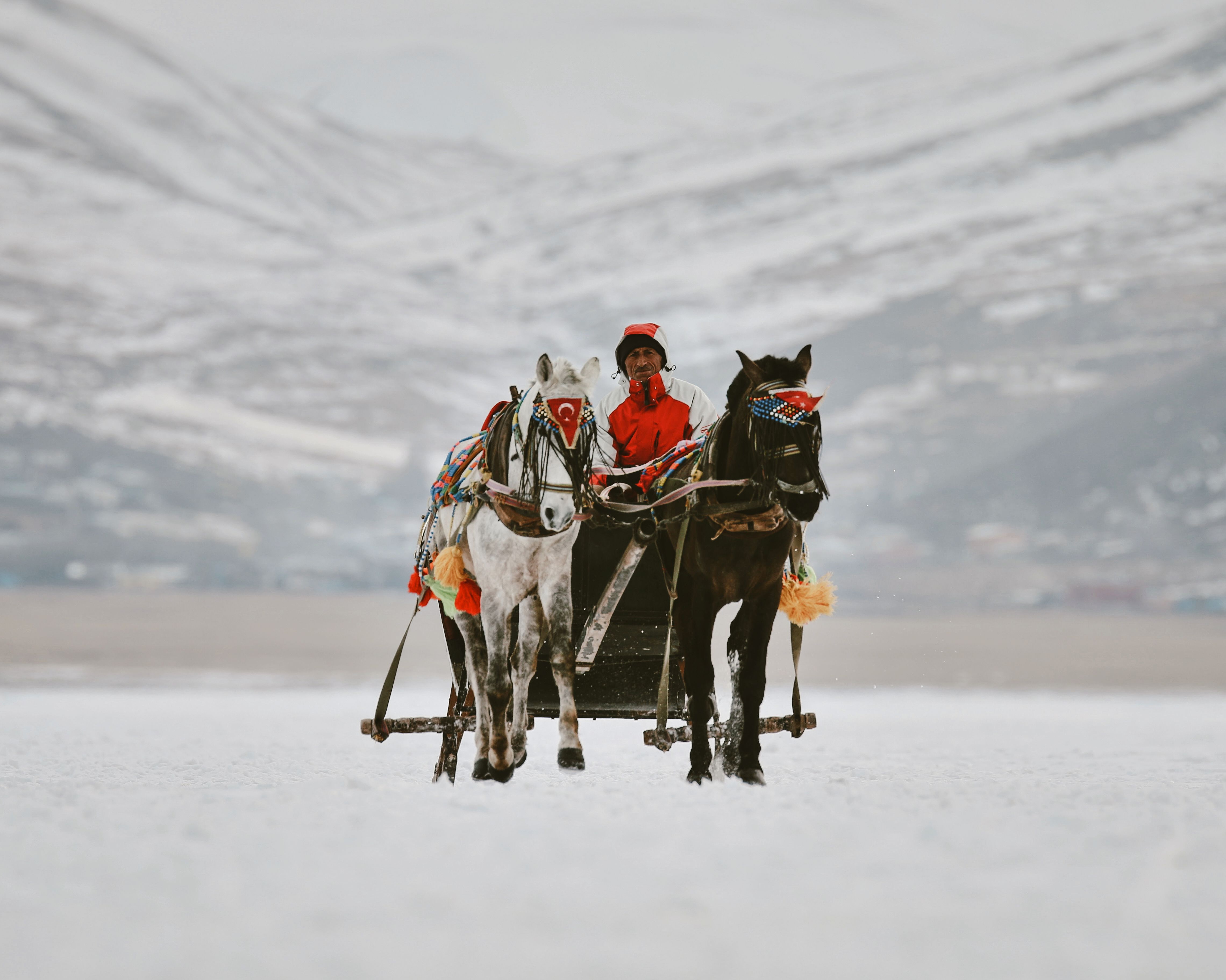 Türkiye’s population prefers Western lifestyle, survey shows — Photo by Mehmet Turgut  Kirkgoz on Pexels