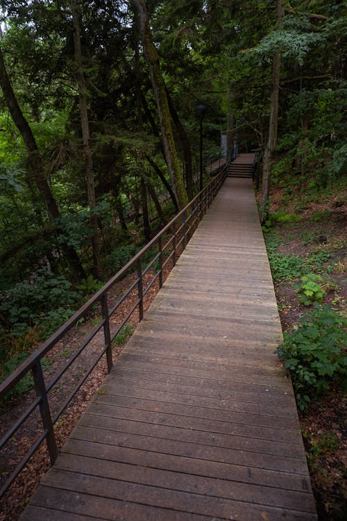 Wooden Boardwalk on a Park Hill Slope